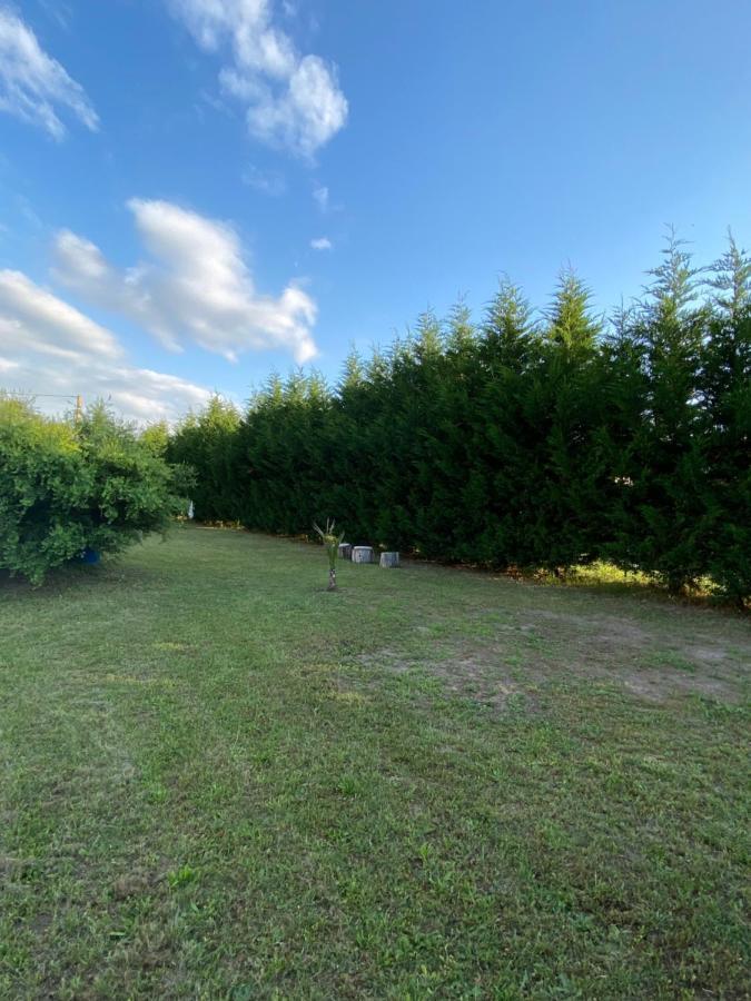 Au Paradis D'Alsace 55 M2 Nature & Relax Ingwiller ภายนอก รูปภาพ