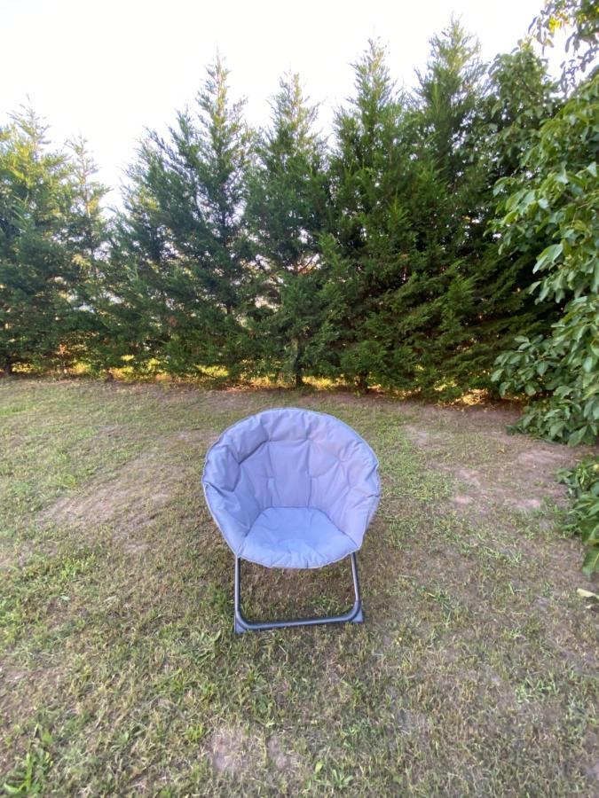 Au Paradis D'Alsace 55 M2 Nature & Relax Ingwiller ภายนอก รูปภาพ