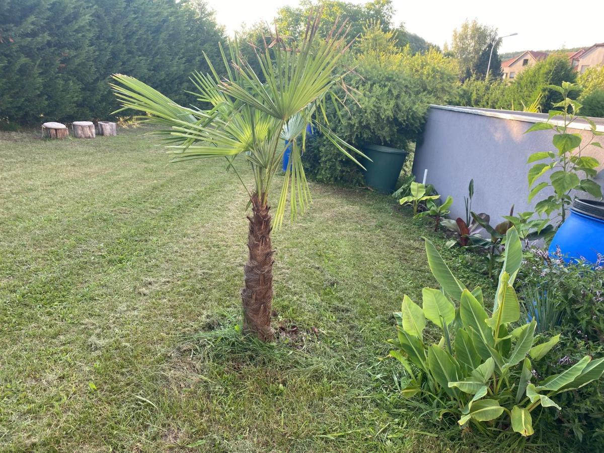 Au Paradis D'Alsace 55 M2 Nature & Relax Ingwiller ภายนอก รูปภาพ