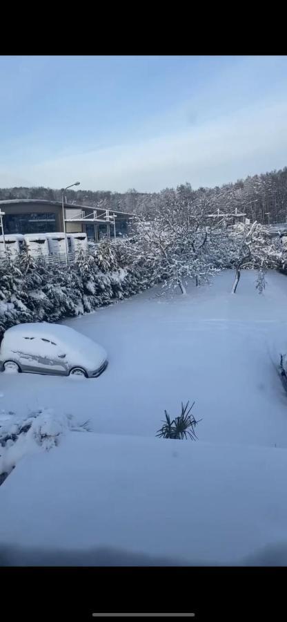 Au Paradis D'Alsace 55 M2 Nature & Relax Ingwiller ภายนอก รูปภาพ