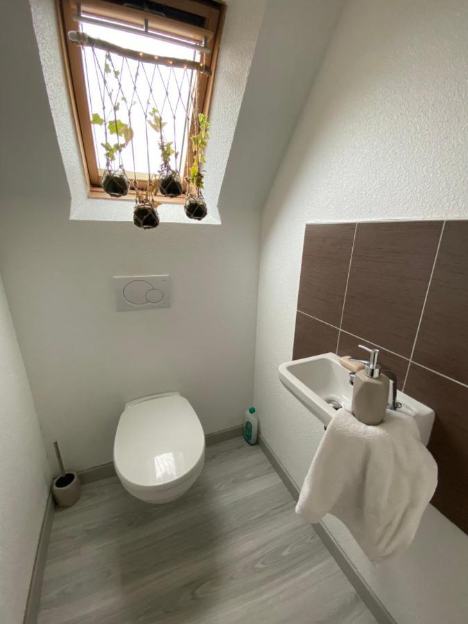 Au Paradis D'Alsace 55 M2 Nature & Relax Ingwiller ภายนอก รูปภาพ