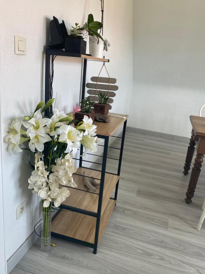 Au Paradis D'Alsace 55 M2 Nature & Relax Ingwiller ภายนอก รูปภาพ