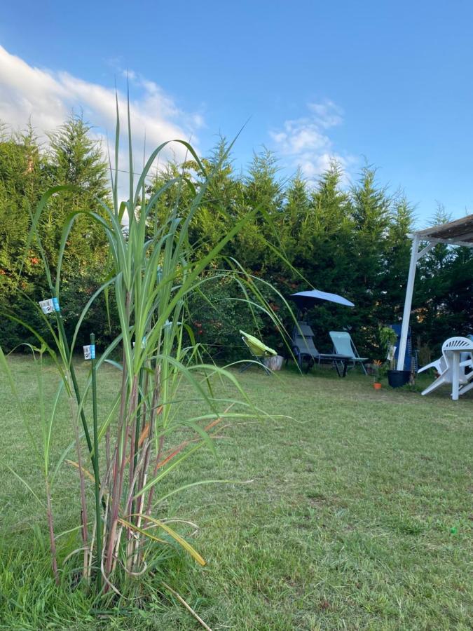 Au Paradis D'Alsace 55 M2 Nature & Relax Ingwiller ภายนอก รูปภาพ
